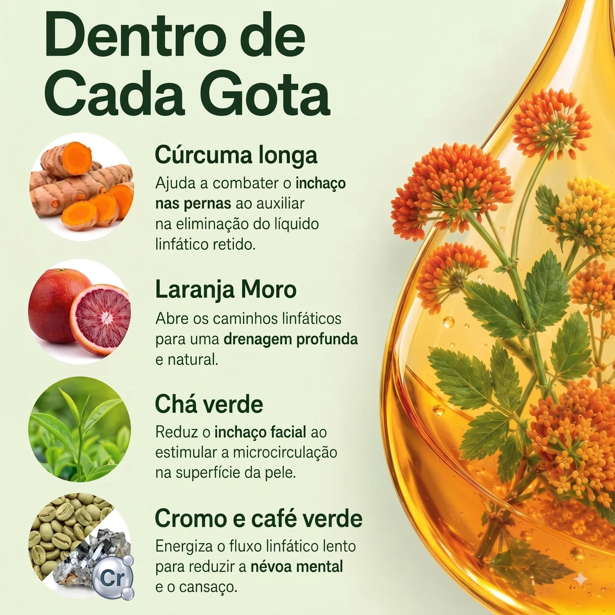 Linflora 6