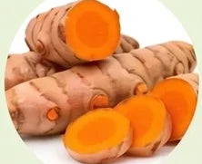 Cúrcuma Longa